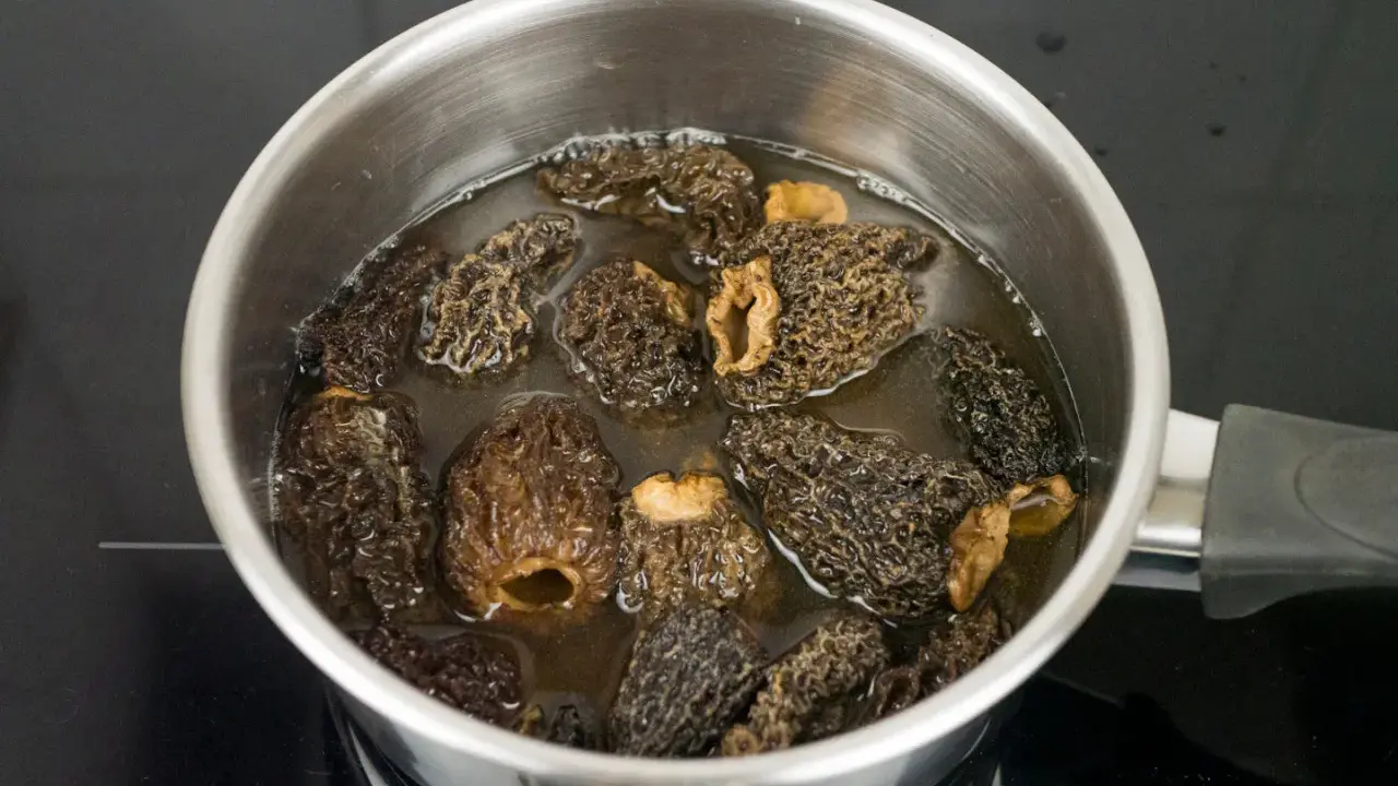 Getrocknete Morcheln werden in einem Topf mit Wasser eingeweicht, um sie für die Zubereitung vorzubereiten.
