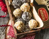 Leckere energy balls selber machen! Eine Mischung aus dunklen und hellen Kugeln, umhüllt von Kokosraspeln, in einer alten Blechdose.