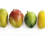 Vier Mangos in verschiedenen Reifestadien: grün, rot-gelb, grün und gelb. Woran erkennt man eine reife Mango? Oft an der Farbe und dem leichten Nachgeben beim Drücken.