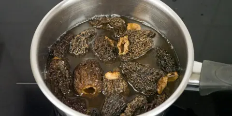 Getrocknete Morcheln werden in einem Topf mit Wasser eingeweicht, um sie für die Zubereitung vorzubereiten.