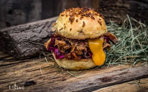 Saftiger pulled chicken burger mit geschmolzenem Käse und Rotkohl auf rustikalem Holz.