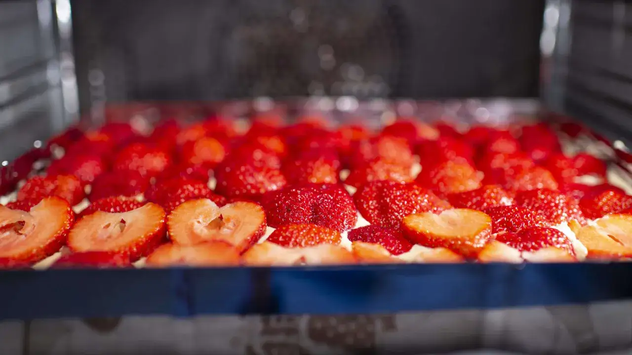 Ein saftiger Erdbeerkuchen vom Blech, mit Biskuitboden und vielen frischen Erdbeeren belegt.