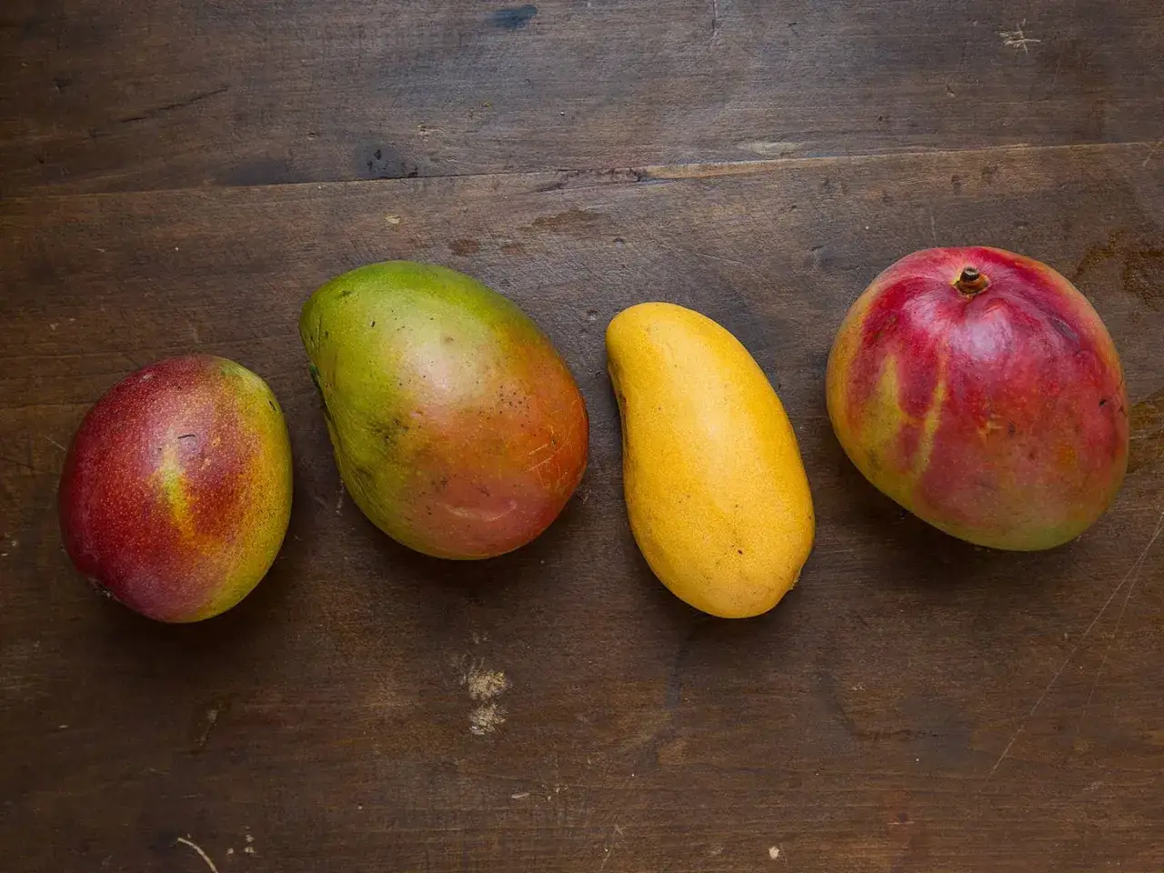 Vier Mangos liegen auf Holz. Die Farben von Rot &uuml;ber Gelb bis Gr&uuml;n zeigen, woran man eine reife Mango erkennt.